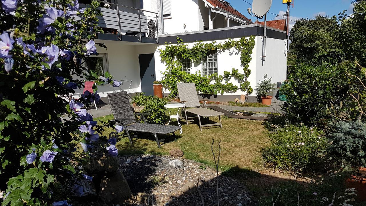 WiltingenHaus Sonnenschein公寓 外观 照片